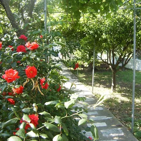 Garden House 別荘 スキアトスタウン